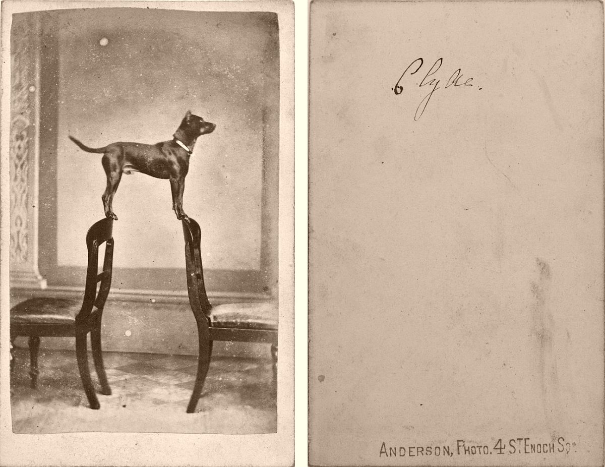 historic-19th-century-cabinet-card-portraits-with-reverse-side-1870s-to-1880s-08