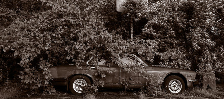 Interview with photographer Gary Beeber